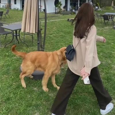 白雪公主必须死
